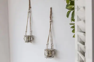 a pair of hanging plants on a wall at Sunny & Spacious 2BD apt near Acropolis in Athens