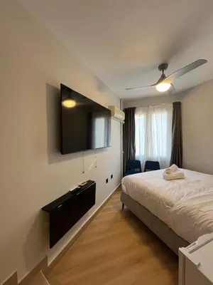 a bedroom with a bed and a tv on the wall at Family Suite by Zeussuites in Athens
