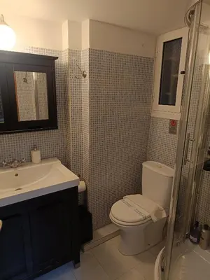 a bathroom with a toilet and a sink and a shower at Plaka Hideaway Suite in Athens