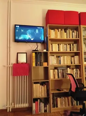 a living room with two book shelves filled with books at 1970s Athenean Apartment in Athens