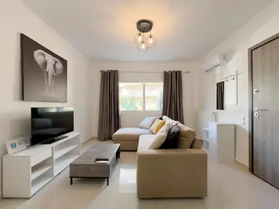 a living room with a couch and a tv at Terpsixoris cozy apartment in Paleo Faliro in Athens