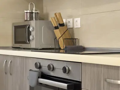 a kitchen with a stove and a microwave at Terpsixoris cozy apartment in Paleo Faliro in Athens