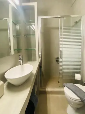 a bathroom with a toilet and a sink and a shower at Karyatis - Apartment on the road of history in Athens