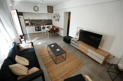 a living room with a couch and a flat screen tv at Lovely Front Garden 2 BDRM Nea Smyrni in Athens