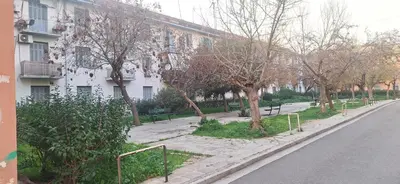 a street with trees and benches in front of a building at Homy in Athens