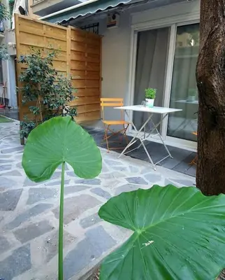 a large green plant in front of a table at Έξυπνο στουντιο ημιυπόγειο στην Αθήνα με αυλή in Athens