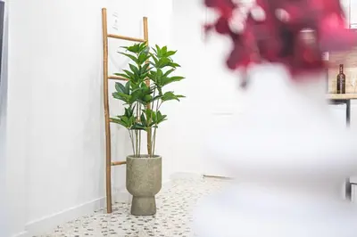 a plant in a vase in a room at Loft15Athens in Athens
