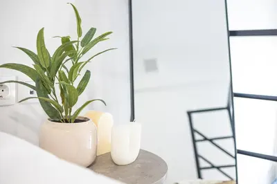 a plant in a vase on a table with mirrors at Loft15Athens in Athens