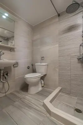 a bathroom with a toilet and a shower at Kifisias View Apartment 2 in Athens