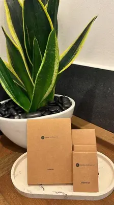 a plant in a white bowl next to two boxes at Epicurus Loft in Athens