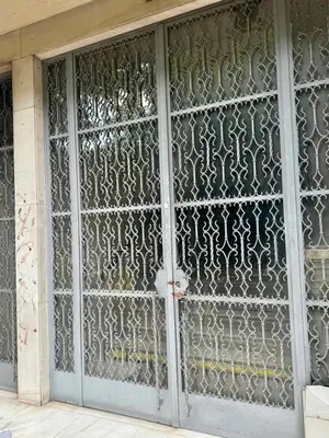 a door with a metal screen on a building at Apollon Family Apartment by zeussuites in Athens