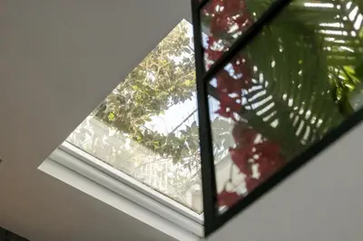a close up of a window with a plant at The loft in Athens