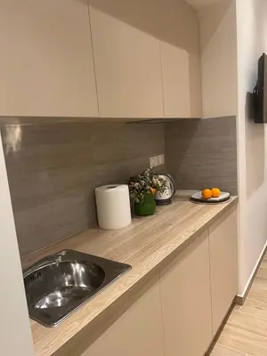 a kitchen counter with a sink and a plate of oranges at Athens Ilisiam in Athens
