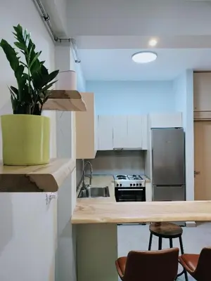 a kitchen with a potted plant sitting on a counter at MYKALI's COZY APARTMENT in Athens