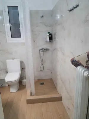 a bathroom with a shower with a toilet and a sink at Casa Bulu in Athens