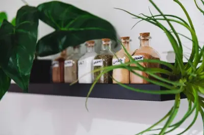 a shelf with several bottles on it with a plant at Novel Acropolis Apartment in Athens