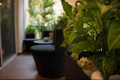 a potted plant in a living room with a window at Novel Acropolis Apartment in Athens