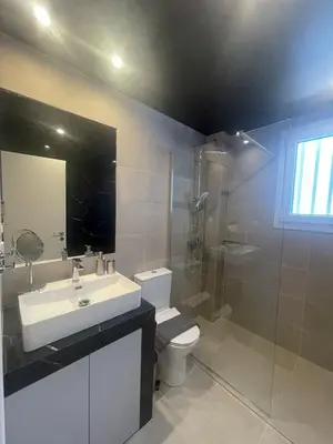 a bathroom with a sink and a toilet and a shower at Spacious seaside flat at alimos in Athens