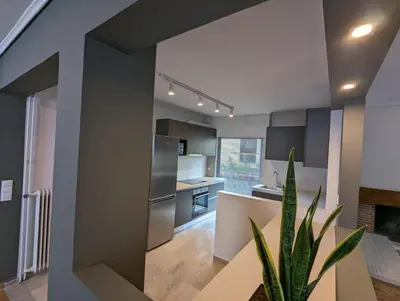 a kitchen with stainless steel appliances and a potted plant at Spacious and sunlit seaside flat in Athens