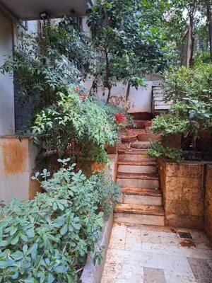 a set of stairs in a garden with plants at Comfort Kolonaki Stay - Piano & Art in Athens