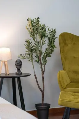 a plant in a black pot next to a chair at Modern Seaside 2BR APT in Athens