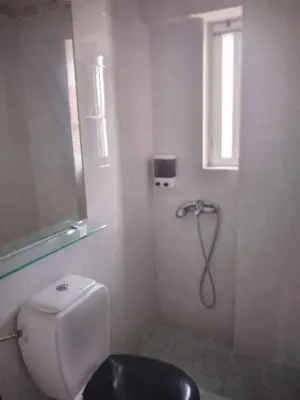 a bathroom with a shower with a toilet and a window at Penthouse Peaceful Oasis in Lagonissi
