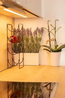 a shelf with two potted plants on it at The Mint House - Alimos in Athens