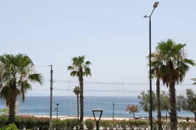 a view of the beach with palm trees and a street light at Zeus1 beach front appatment, 1BR sea view in Athens