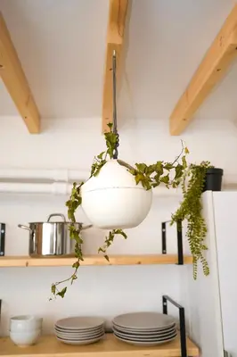 a pot on a shelf in a kitchen with plates at The Extravagant studio in Pagkrati, Near Stadium in Athens