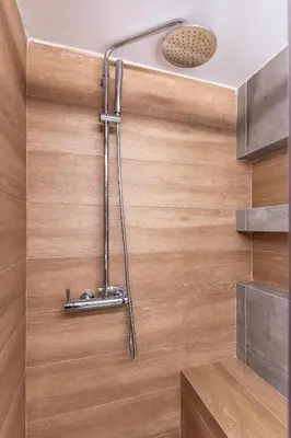 a shower in a bathroom with a wooden door at Phaedrus Living Pagkrati Modern Grove in Athens