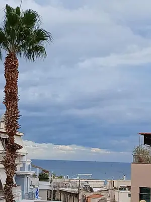 a palm tree in a city with the ocean in the background at Σπίτι - Κάστρο πάνω από τη θάλασσα in Piraeus