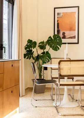 a dining room with a table and a potted plant at The Athenette in Athens