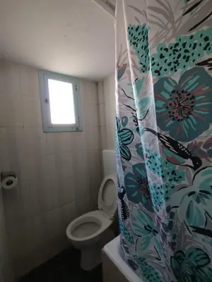 a bathroom with a toilet and a shower curtain at Sunny apartment next to the Acropolis in Athens
