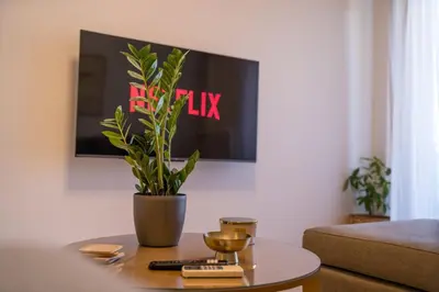 a potted plant sitting on a table in a living room at Mets-Athenian Horizon Escape in Athens