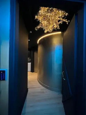 a hallway with a large metal object in a room at Tsakalof 17 Black Suite by Zeus Suites in Athens