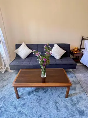 a blue couch with a vase of flowers on a coffee table at Ivory Escape Apartment - ATH Airport in Spáta