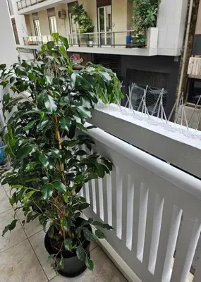a plant in a pot next to a white fence at Kolonaki hug in Athens