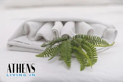 a green plant sitting next to a pile of towels at Classic Studio A2 - 2ppl in Athens