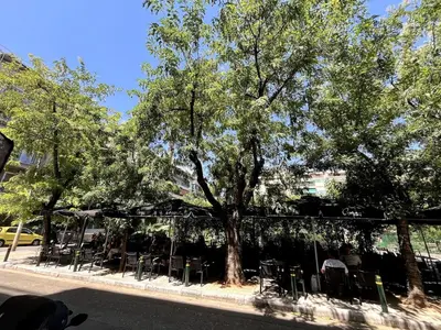 a cafe with tables and chairs under a tree at Lovely, brand new, central , Modern appt Athenes - Axelle Place in Athens