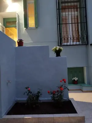 a stairway with flowers on the side of a building at Golden Hotel in Athens