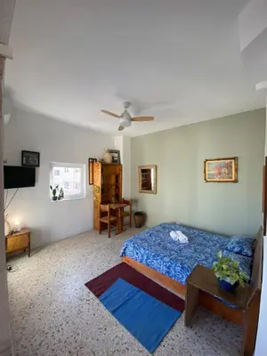 a bedroom with a bed and a ceiling fan at Mosaics easystay Penthouse 360'view in Athens