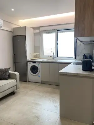 a kitchen with a sink and a washing machine at Stylish Apartment in the Heart of Athens in Athens
