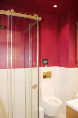 a bathroom with a toilet and a shower with red walls at ARIS Petralona in Athens