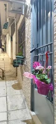 a street with flowers in bags hanging from a window at Ilisia apartment for rent in Athens