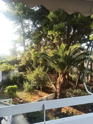 a palm tree on the deck of a boat at Spiros cozy place in Saronida