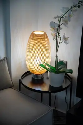 a lamp on a table with a plant on it at Athenee Suites in Athens