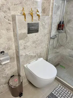 a bathroom with a toilet and a shower at Kalithea Spartis appartment in Athens
