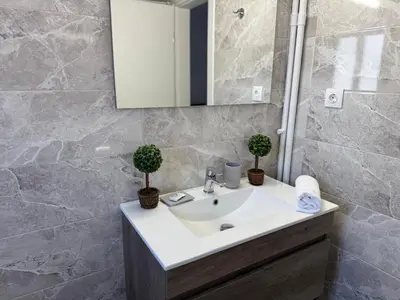 a bathroom with a sink with two potted plants on it at Kalithea Spartis appartment in Athens