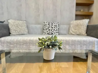 a living room with a couch and a potted plant at Demetra-Luxenia Suites Athens in Athens