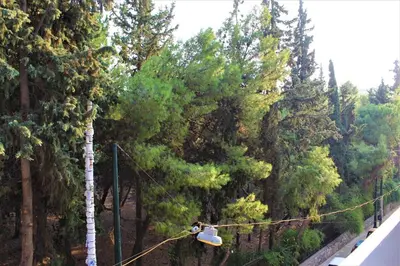 a person on a rope in front of trees at Ionos Dragoumi 34 Athens Comfy Studio in Athens